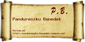 Pandureszku Benedek névjegykártya